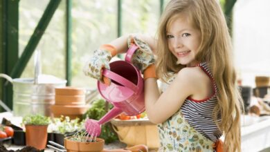 تربية الاطفال علي تحمل المسئولية