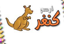 تعليم الطفل رسم الكنغر
