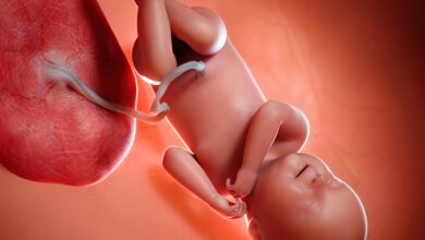 علامات نزول الجنين فى الحوض