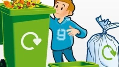 الولد الشقي قصة تعليم الاطفال الحفاظ على نظافة الشارع