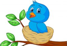 قصة تعلم قيمة الصدق للطفل ( قصة العصفور الكاذب )