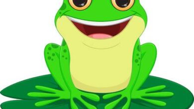 قصة لتعليم الطفل عدم الفزع