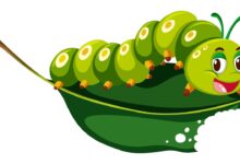 قصه تعلم الطفل التفكير