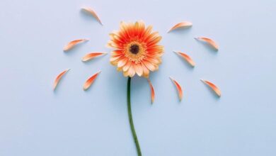 مشكلة علامات الذكورة عند المراهقات والسيدات