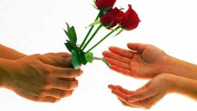 الحياة الزوجية مودة ورحمة
