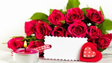 فن الاستمتاع بالحياة