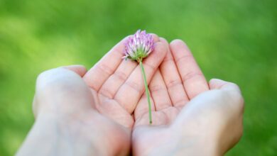 هل تدرك حقاً أن العطاء وسيلة للتواصل