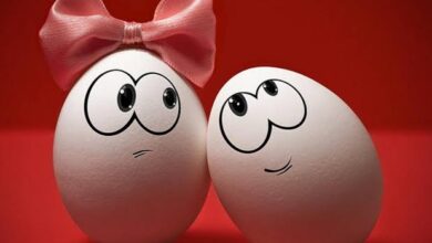 اشياء يمكن التنازل عنها واشياء لا في الزواج