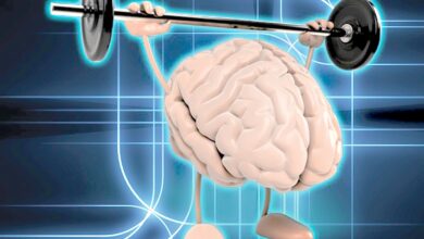 الحفاظ على القدرات العقلية