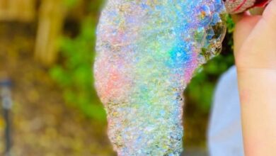 فقاعات الثعبان للاطفال فكرة جميلة تبهر أطفالك بالصور