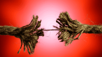 نظرية طاقة التحمل فلكل شئ طاقة لا يجب أن تزيد عنها