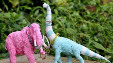 افكار لترتيب الاكسسوارات وتوك بناتك