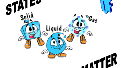 منهج الصف الرابع