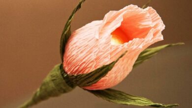 كيفية تزيين قطع الشوكولاتة وعمل منها بوكية ورد بالصور