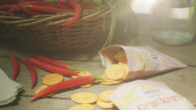 طريقة عمل صن بايتس